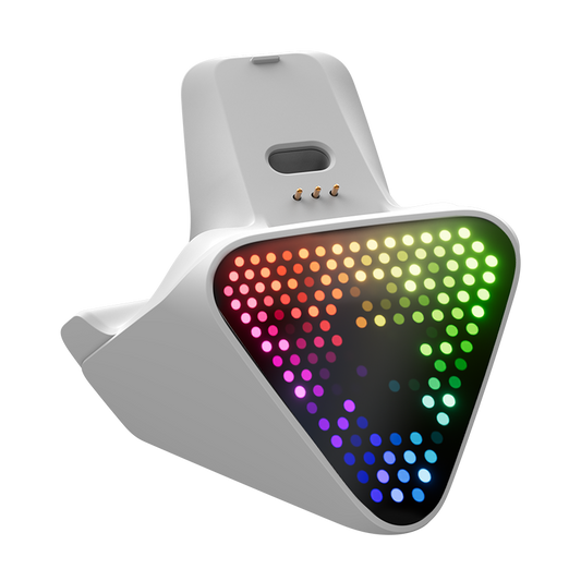 Dock 2 Pro for The Flydigi Apex 5