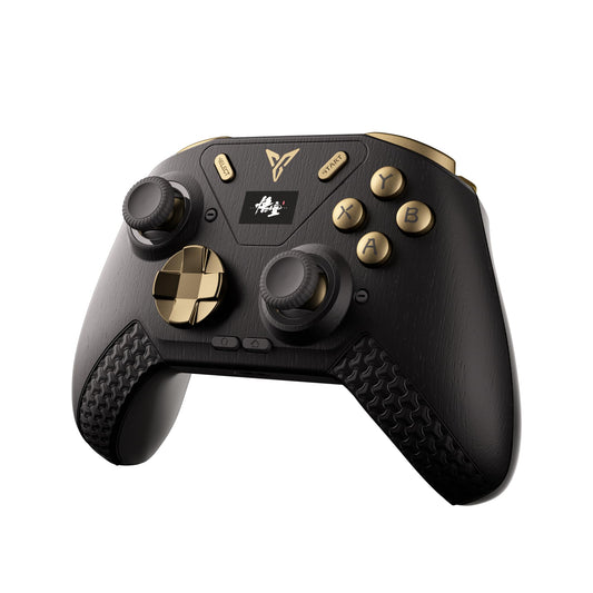 FLYDIGI APEX 4 PC Controller Black Myth
