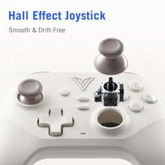 FLYDIGI DuneFox 2.4g Wireless PC Controller