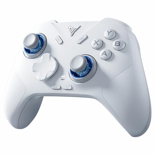 FLYDIGI Direwolf 4 PC Controller