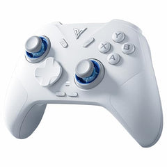 FLYDIGI Direwolf 4 PC Controller